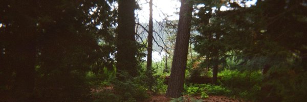 sguha00 Profile Banner
