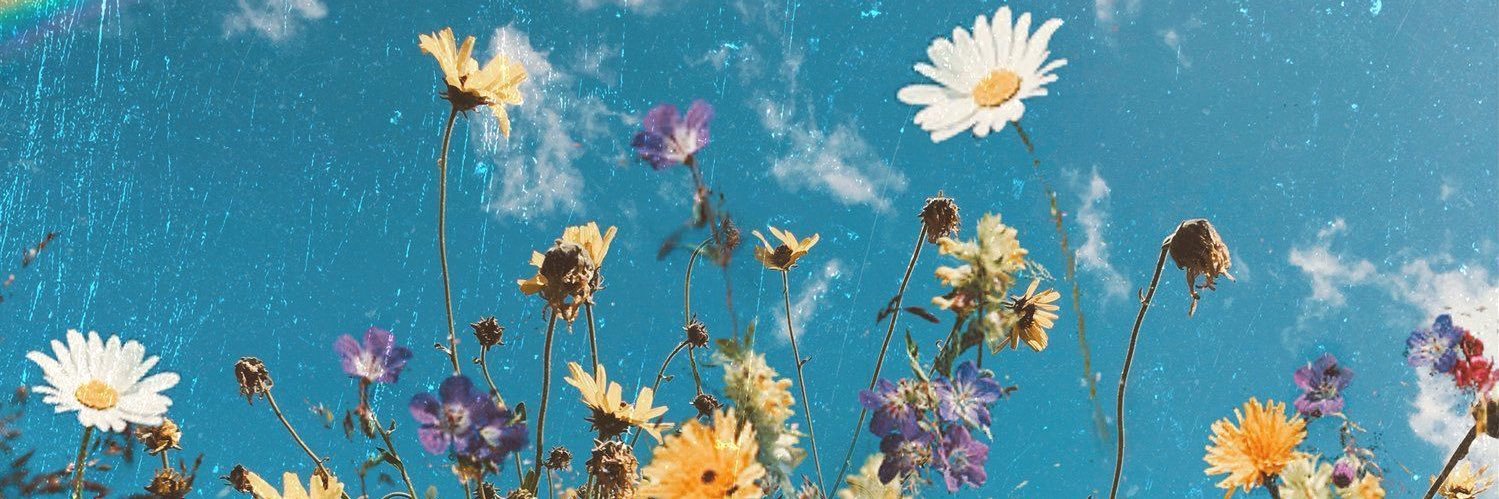 robynborst's profile banner image