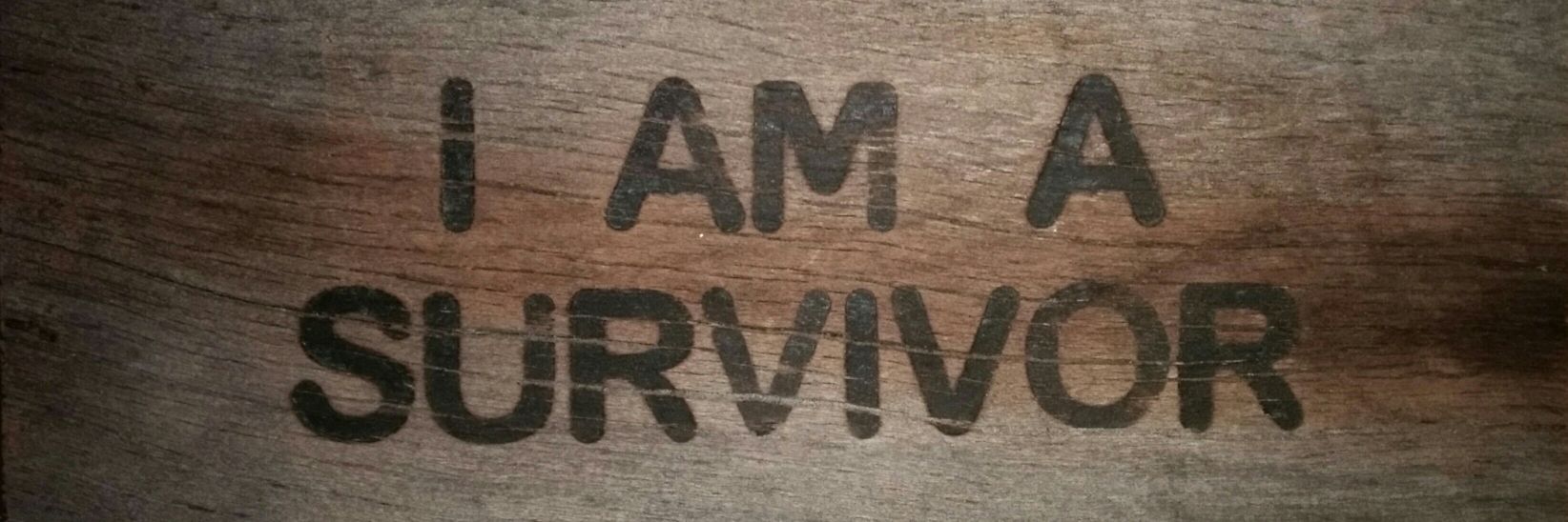 NikkiJMM's profile banner image