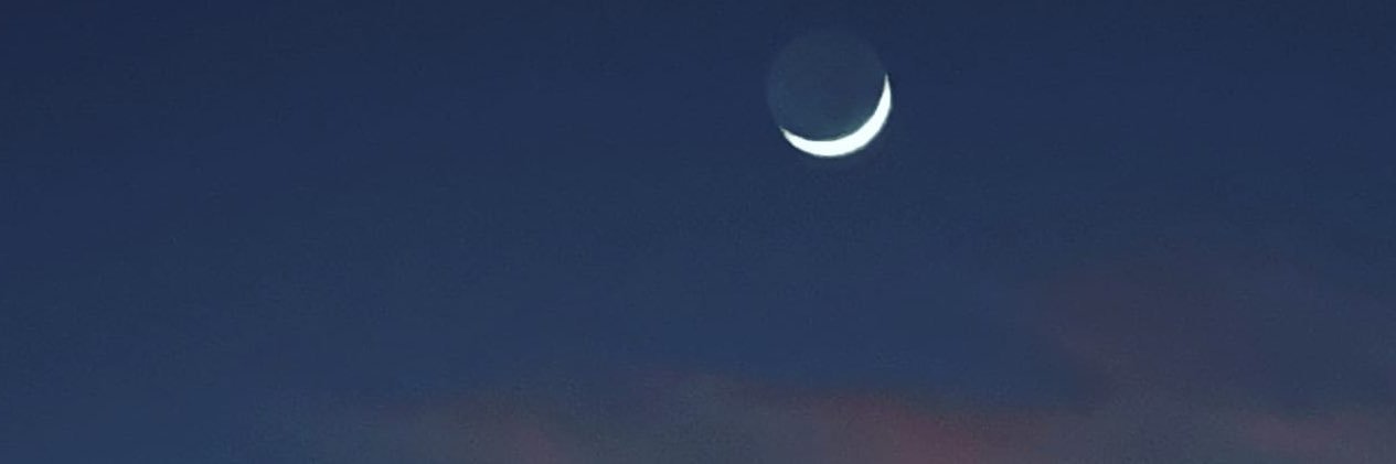 ReginaChavarin's profile banner image