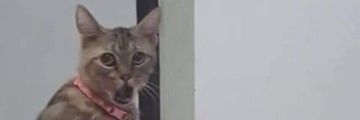 DimasYosa's profile banner image