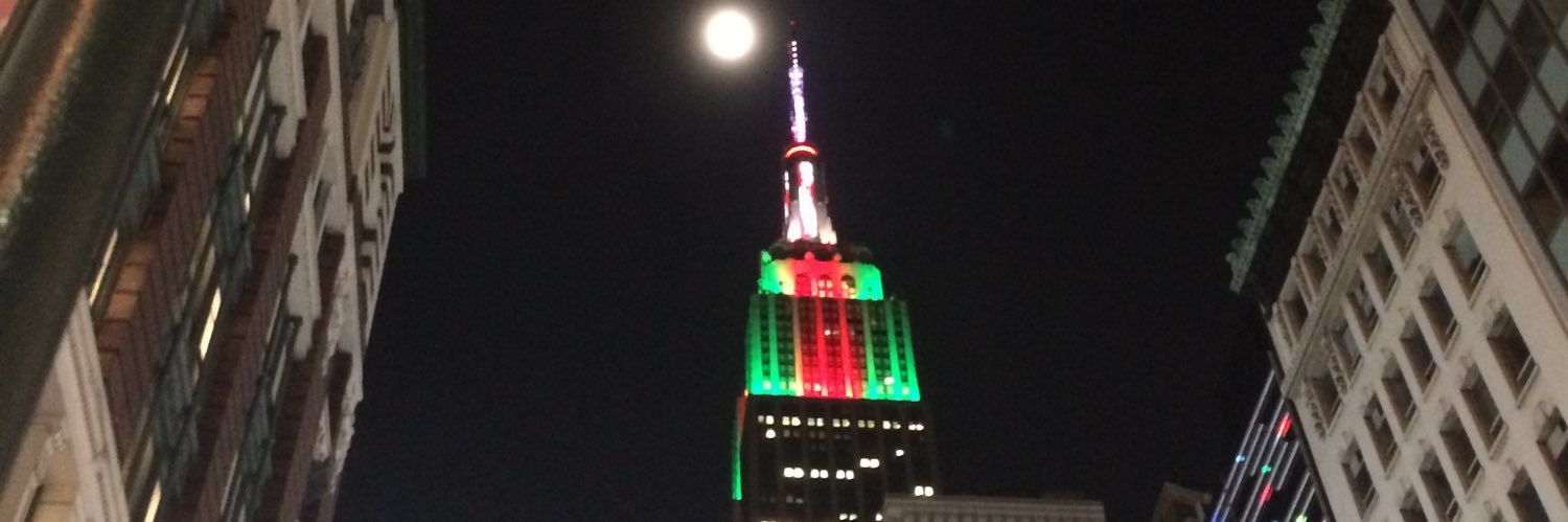 Katie's ESB Project banner