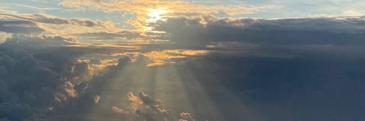 Nyx ☾ banner