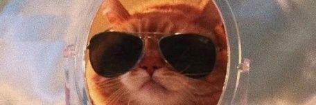 nessiteras's profile banner image