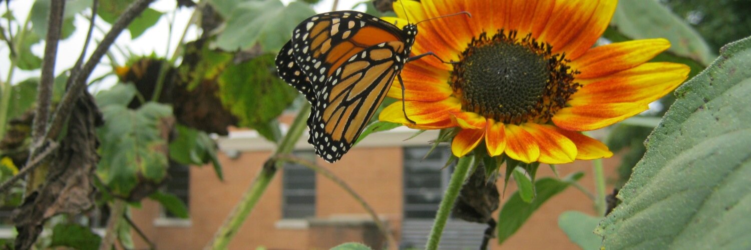 ddodson_debbie's profile banner image