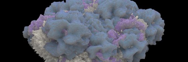 meganmacleod15 Profile Banner