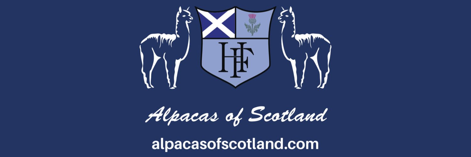 AlpacasScotland's profile banner image
