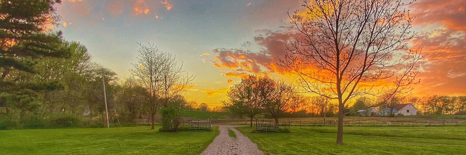 Beth Cunningham banner