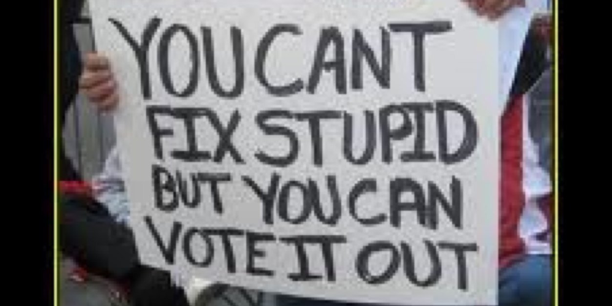 It’s a Democracy and a Republic Dummy banner