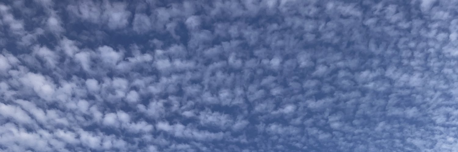 kat988's profile banner image