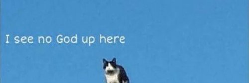 𝖆𝖈𝖑𝖎𝖈𝖑𝖆𝖘 banner