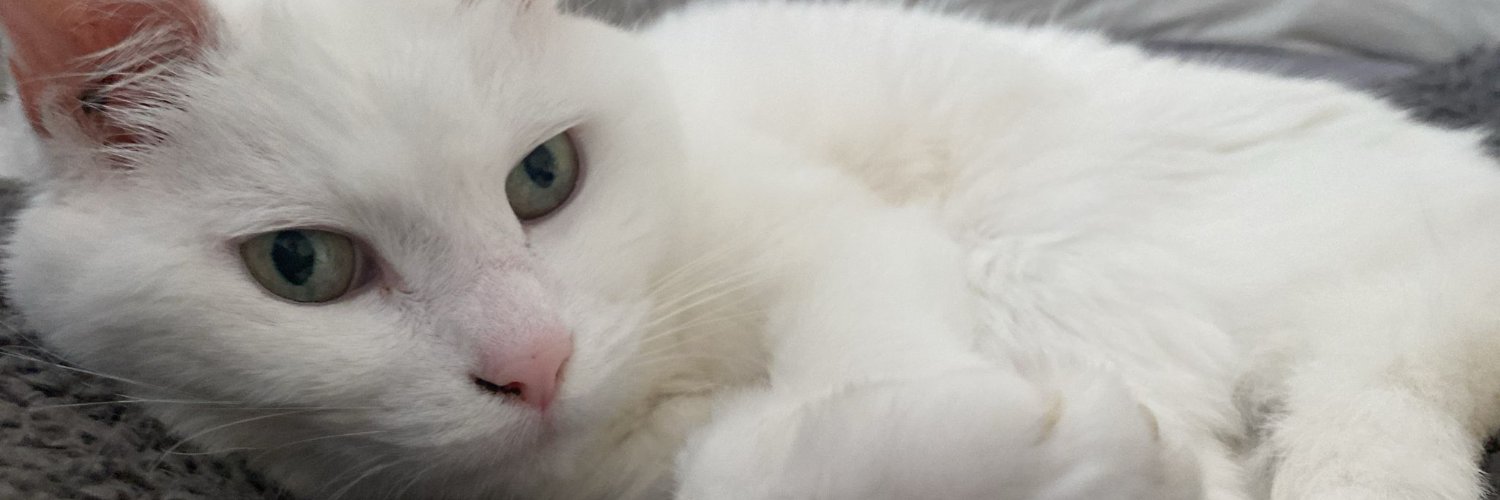 Hannah Carter banner