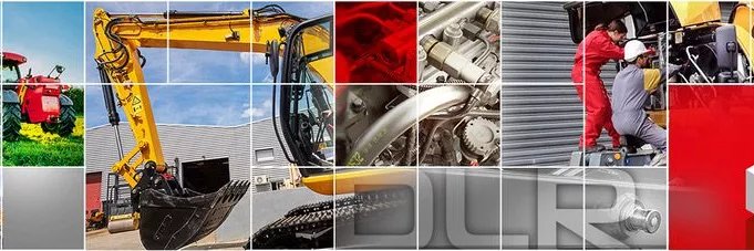 Fédération DLR banner