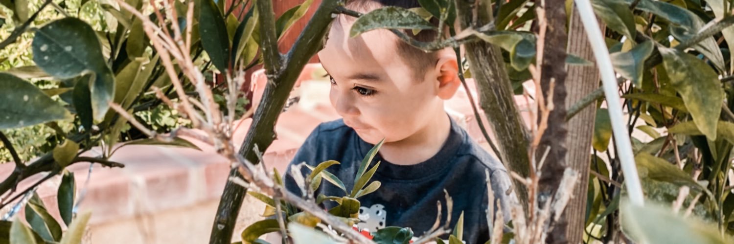 _lifewithalo's profile banner image