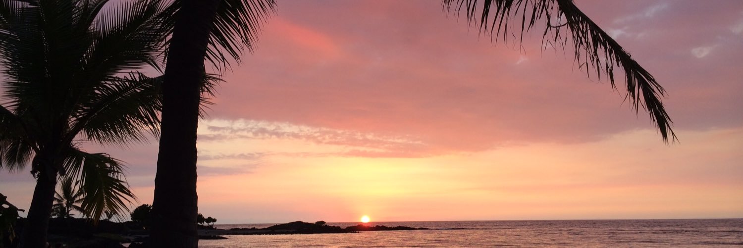 AlexxChesney's profile banner image