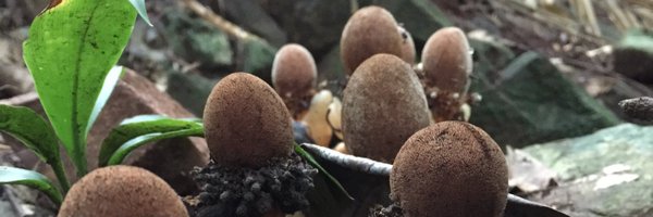 JonHaleBio Profile Banner