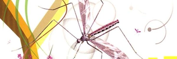 j0ey2k Profile Banner