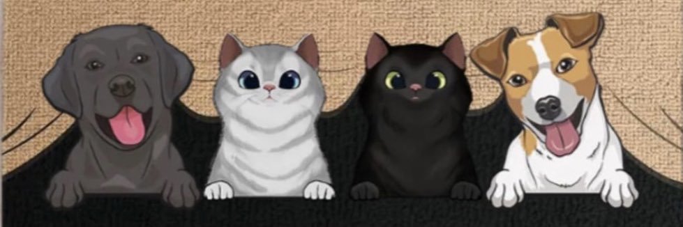 HenriqueSgnc's profile banner image
