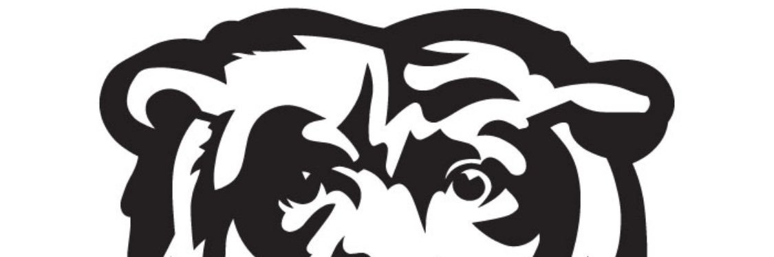 BearInMichigan's profile banner image