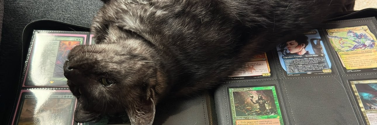 Tailshoot banner