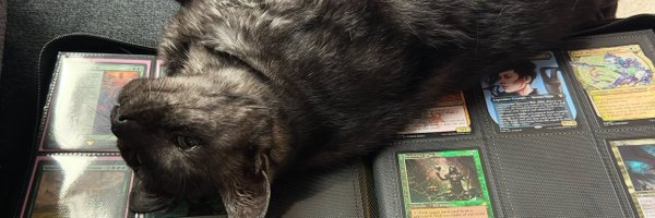 tailshoot Profile Banner