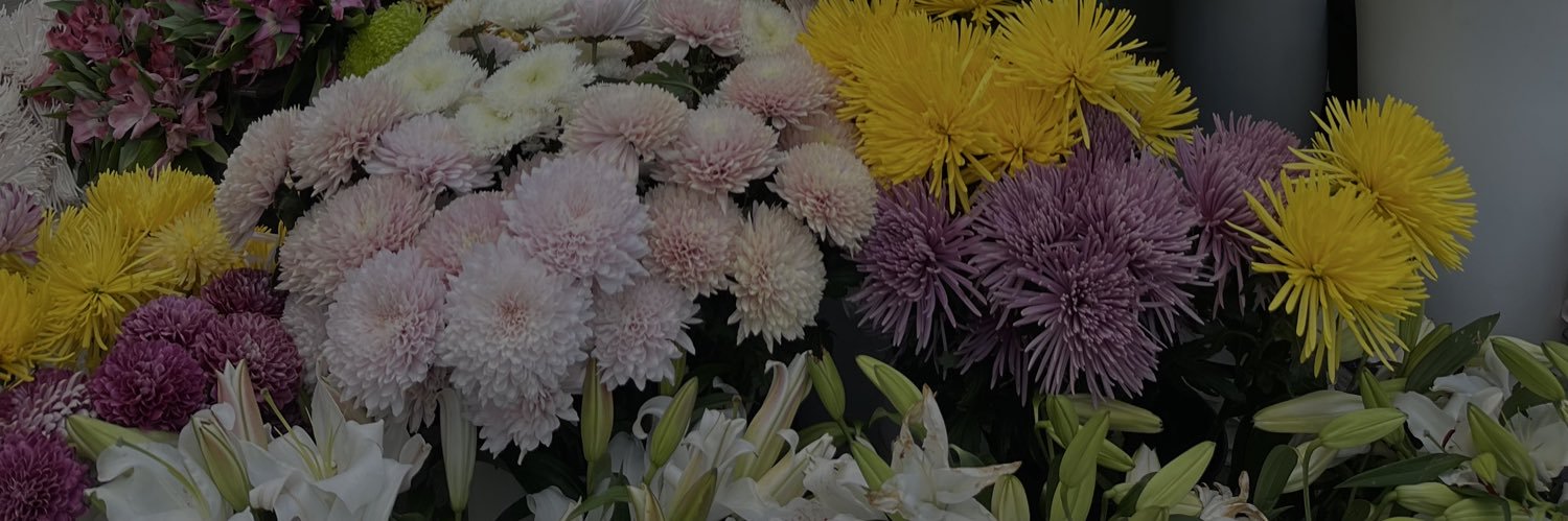 antttonellac's profile banner image