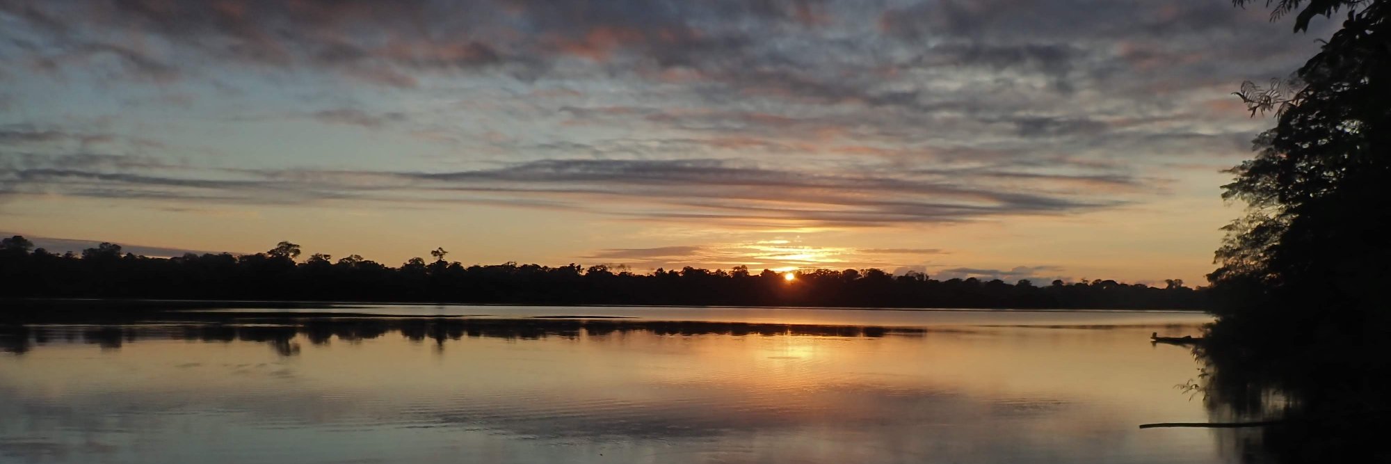 hannahcfindlay's profile banner image