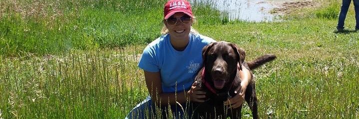 Ham ☀️ banner
