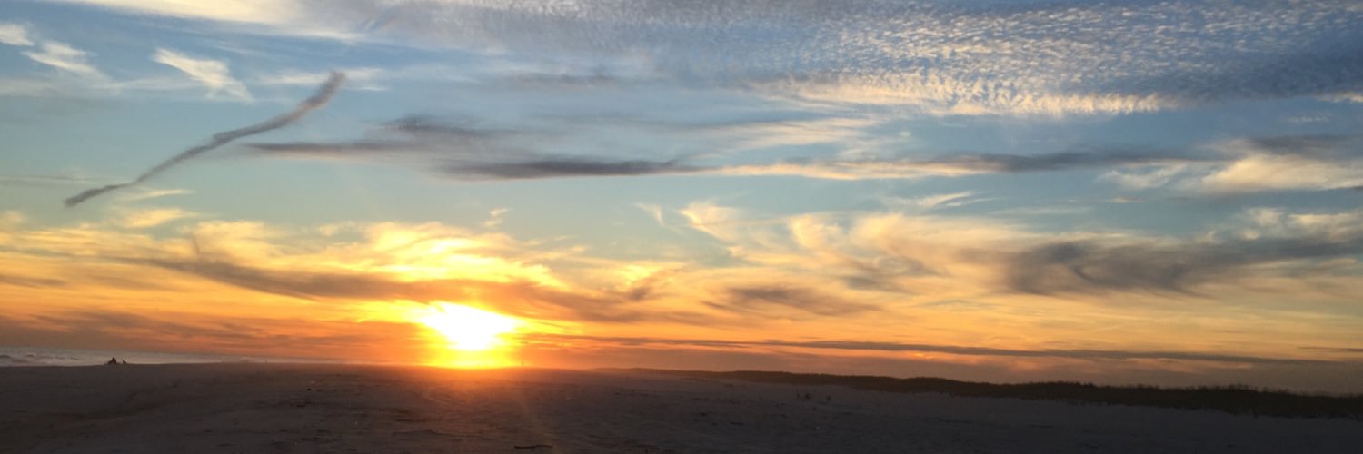 NicoleeeLobo's profile banner image