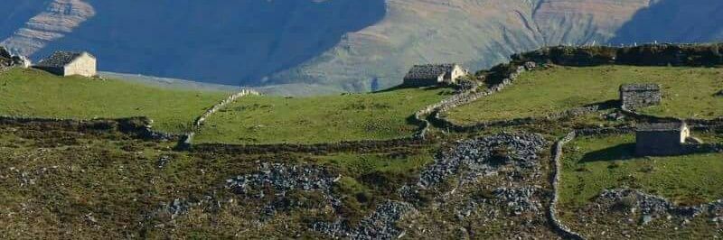 gucimpunk 💢 banner