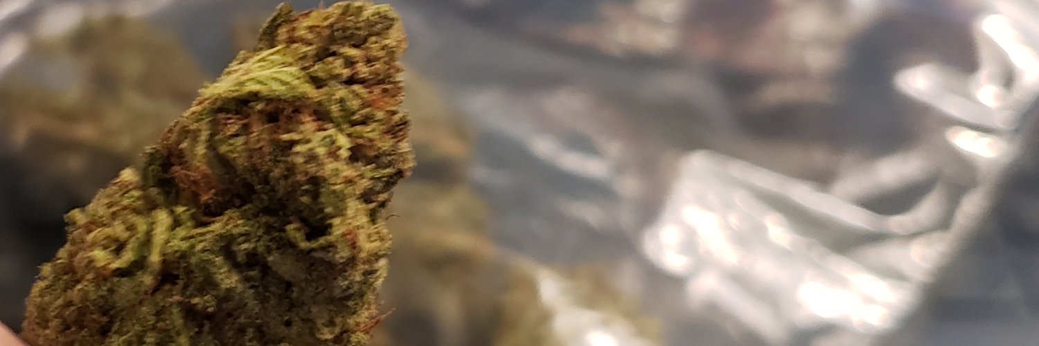 Mr. Irrelevant banner