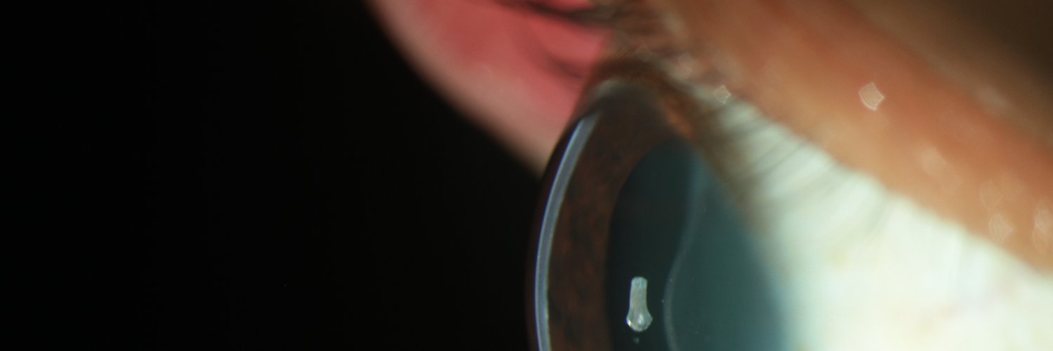 Ophthalmology's banner