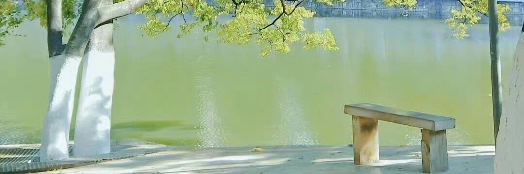 LittlePanda152's profile banner image