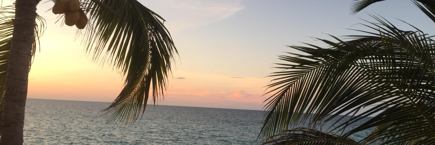 AlisonAgboola's profile banner image