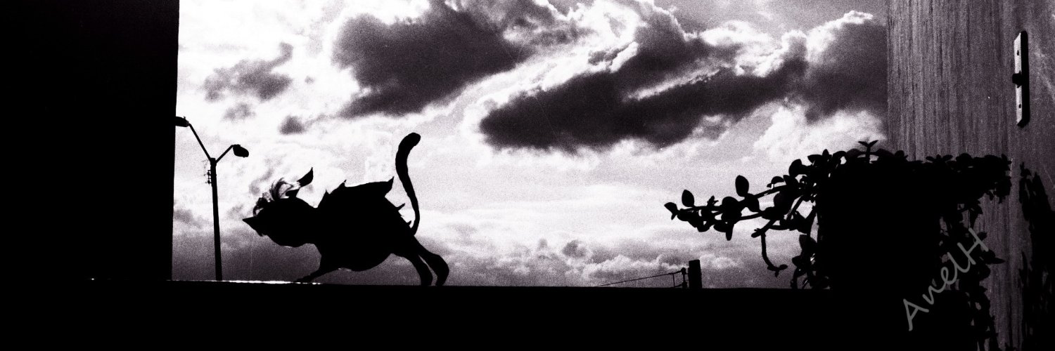 sheisannn's profile banner image