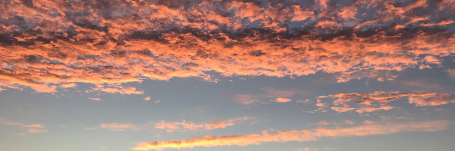 Randy Roberts banner