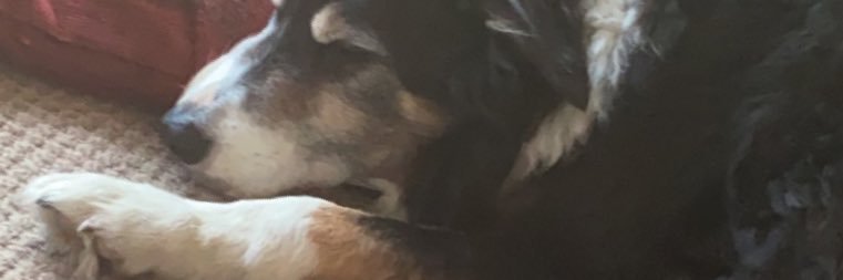 ElsWalks10's profile banner image