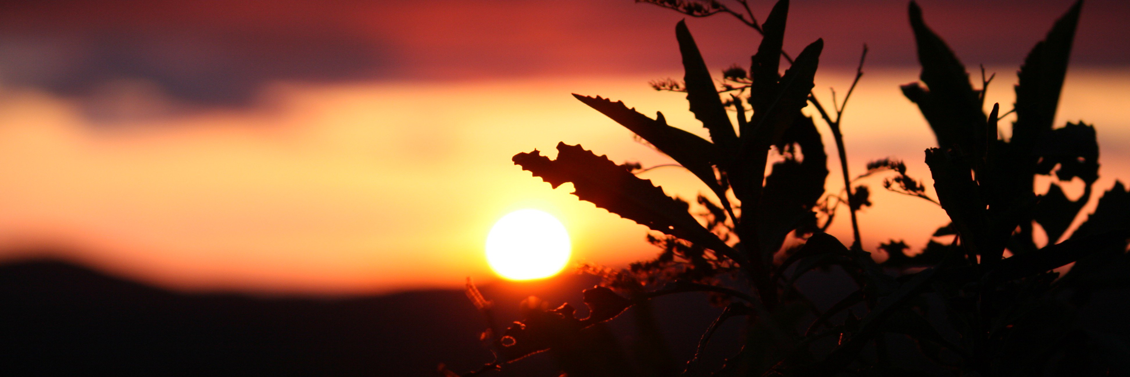 Don_Filippo's profile banner image