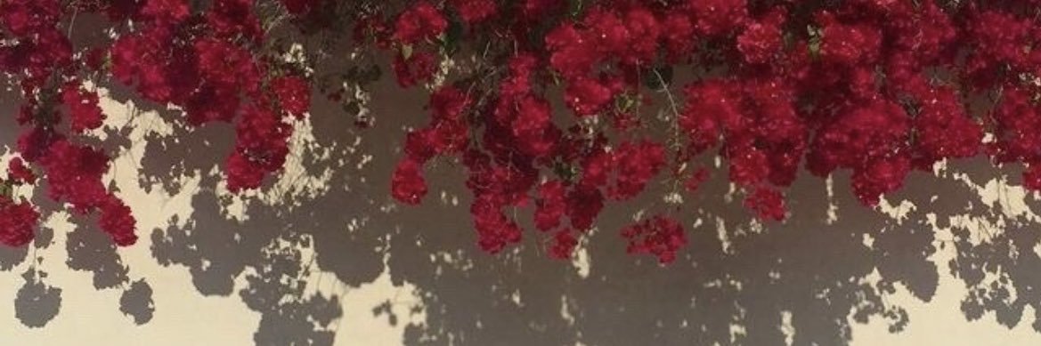 qt__kt's profile banner image
