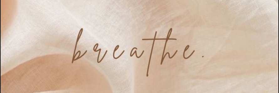 littleErika's profile banner image