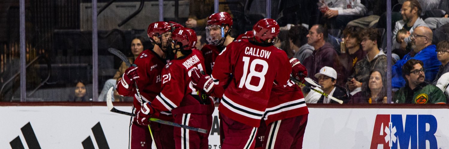 Michael Callow banner