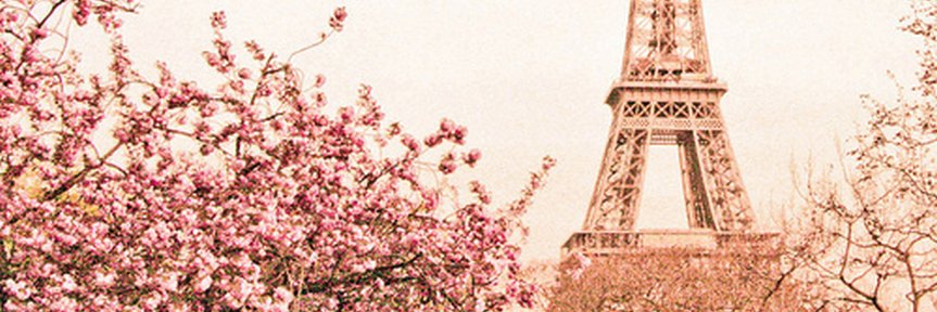 karolfsrosa's profile banner image