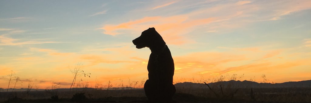 BridgerSanders's profile banner image