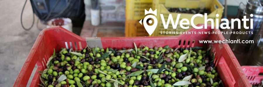 WeChianti banner