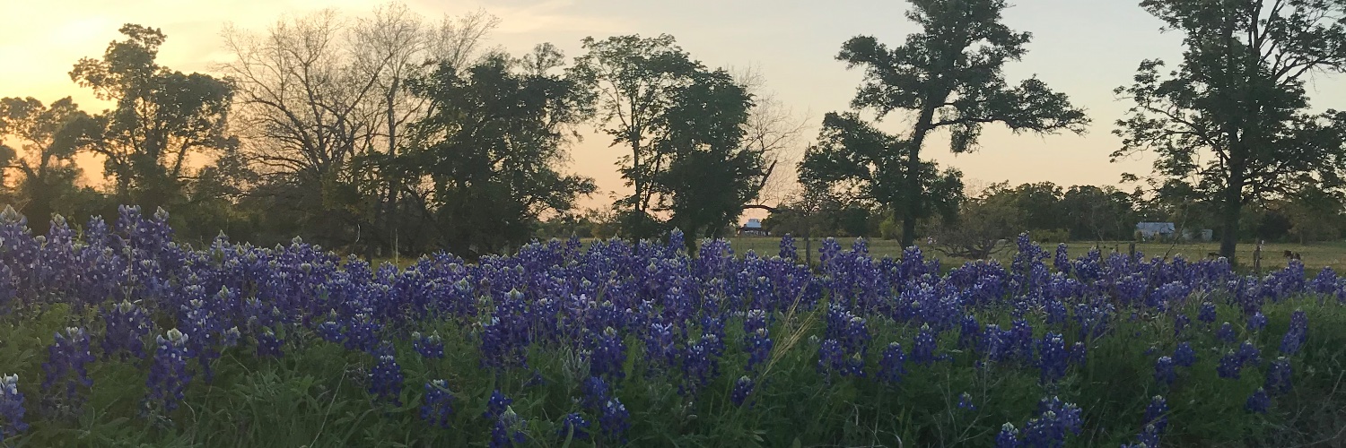 Clint Reynolds banner