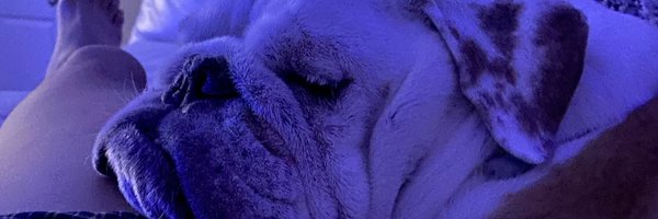 codetoriches Profile Banner