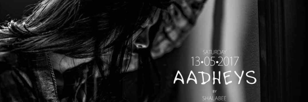 TeamShalabee banner