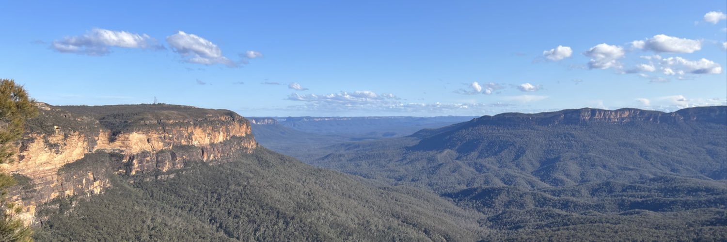 Robert Gerber banner