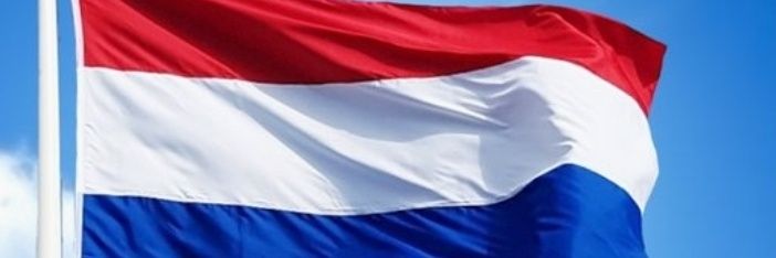 tekooptekoop's profile banner image