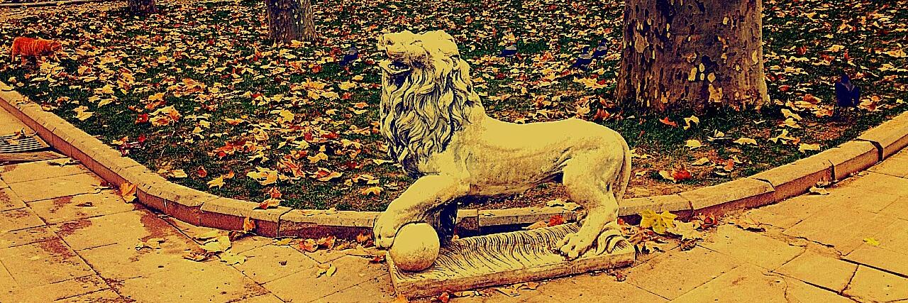 Mehmet Şahin banner